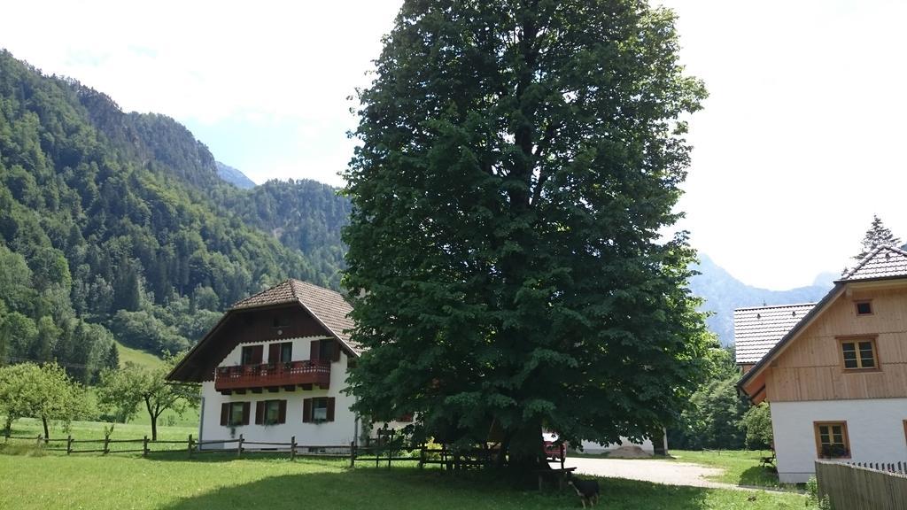 Farm Stay Juvanija Солчава Экстерьер фото